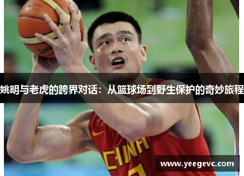 姚明与老虎的跨界对话：从篮球场到野生保护的奇妙旅程
