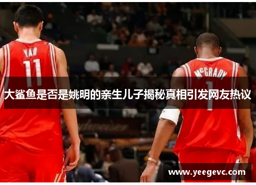 大鲨鱼是否是姚明的亲生儿子揭秘真相引发网友热议