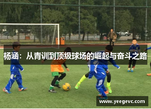 杨涵：从青训到顶级球场的崛起与奋斗之路