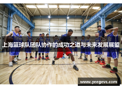 上海篮球队团队协作的成功之道与未来发展展望
