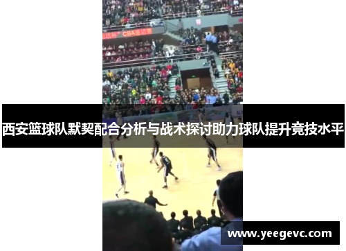 西安篮球队默契配合分析与战术探讨助力球队提升竞技水平