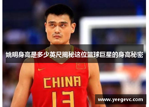 姚明身高是多少英尺揭秘这位篮球巨星的身高秘密