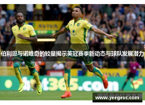 伯利恩与诺维奇的较量揭示英冠赛季新动态与球队发展潜力