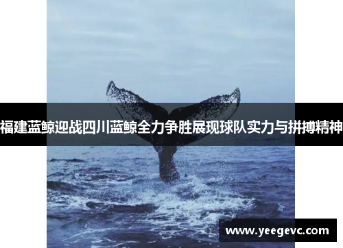福建蓝鲸迎战四川蓝鲸全力争胜展现球队实力与拼搏精神